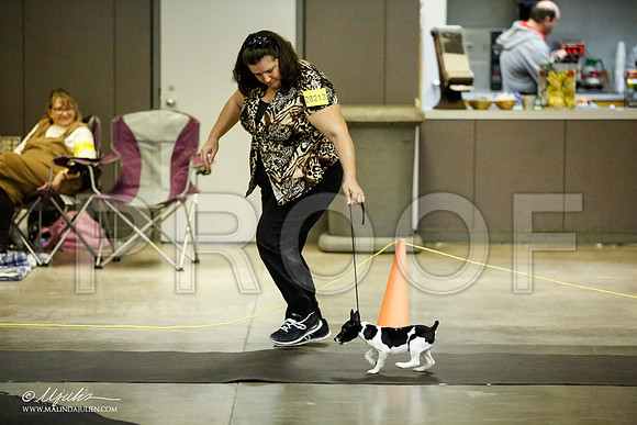_JJ_5988-BeltonJan2015IABCA-HR3
