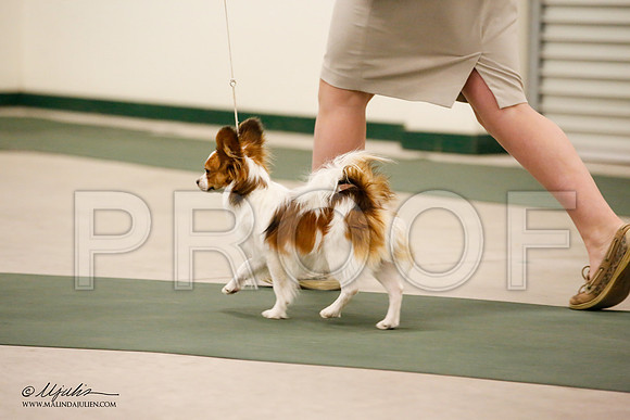 _JN_9103-NrmnNov2014-HR3