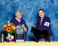 #12 S1 Best Puppy Lezlie Hall Judge Beverly Henry