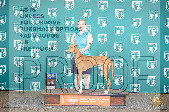 Azawakh #261 Sun G1 NC Judge Matt Proctor__JP_1692_Longview WA_2024_HR3