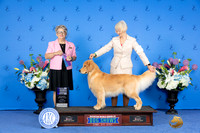Cherie Fisher Houston 2024