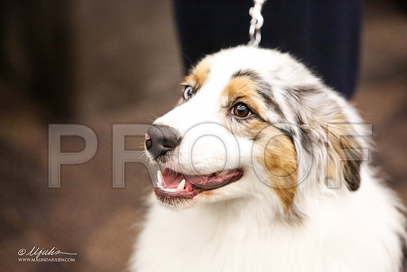 _JJ_1676-FWKCMar2015-HR3
