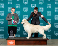 Carrie Watson UKC MWC 2024