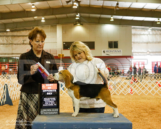 _MJ_5237-2-GlenRoseJan2015-HR3