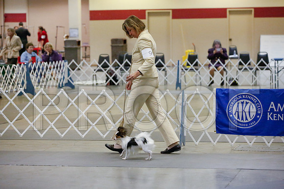 _JJ_1113-AmarilloSept2014-HR3