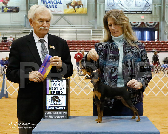 MinPin-6372-GRJan14-HR