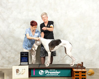 Greyhound #101 Wed COC Judge Marian Campbell