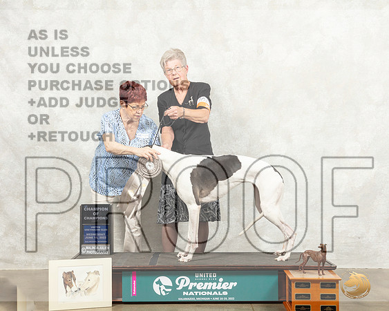 Greyhound #101 Wed COC Judge Marian Campbell_MMJ_6783_Premier_2022_HR3