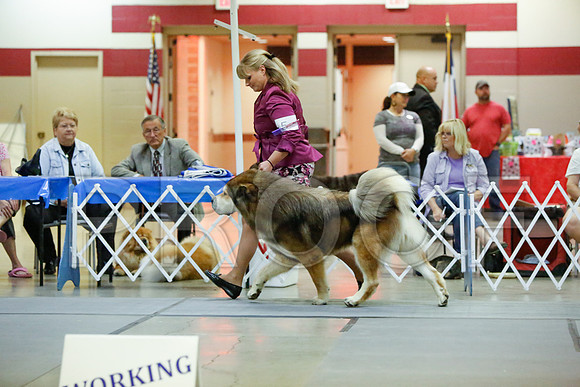 _JN_5312-AmarilloSept2014-HR3