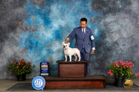 French Bulldog #17 Fri BOB Judge Christie Martinez