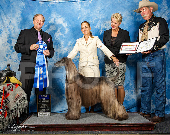 _ST_4600-AfgBeltonOct2014-HR3