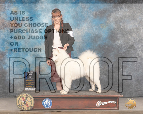 Samoyed #18 Fri WBBOWBBE Judge Del RichardsMMJ_3416_Mdlnd2022_HR3