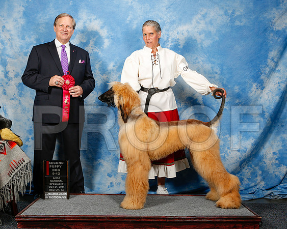 _ST_4509-2-AfgBeltonOct2014-HR3