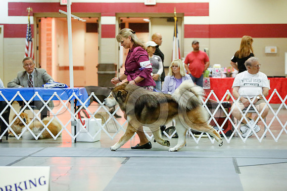 _JN_5311-AmarilloSept2014-HR3