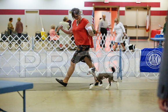 _JJ_2015-AmarilloSept2014-HR3
