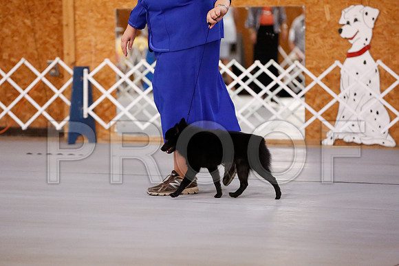 _RH_7866-CarlrolltonSept2014-HR3