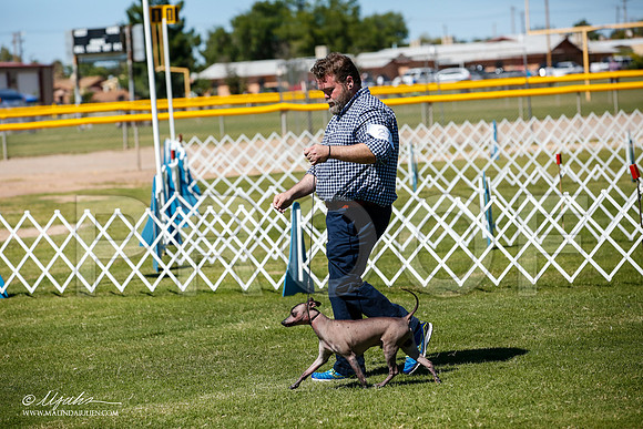 _JJ_8247-AlamogordoOct2014-HR3