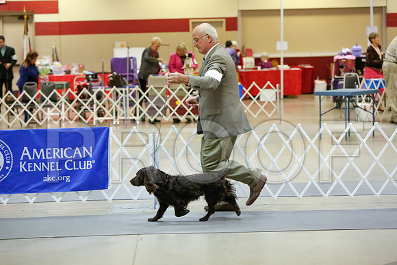 _JJ_2503-AmarilloSept2014-HR3