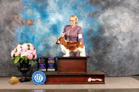 Cavalier King Charles Spaniel #7 FRI WD BW BOB NCH Major Judge?