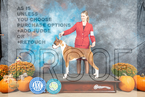 Boxer #9 Sat_MJ_5547_Belton_2022_HR3