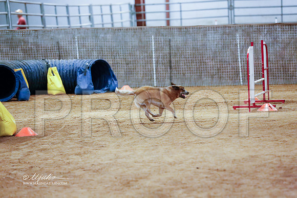 StdNov16S-9429-BltnNov13-HR