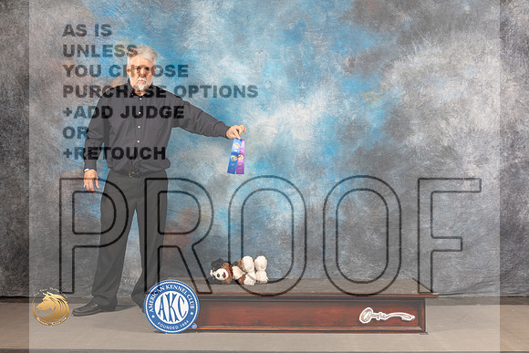 PBGV #14 Wed WB Judge Richard Nance_MJ_3079_Houston_2022_HR3