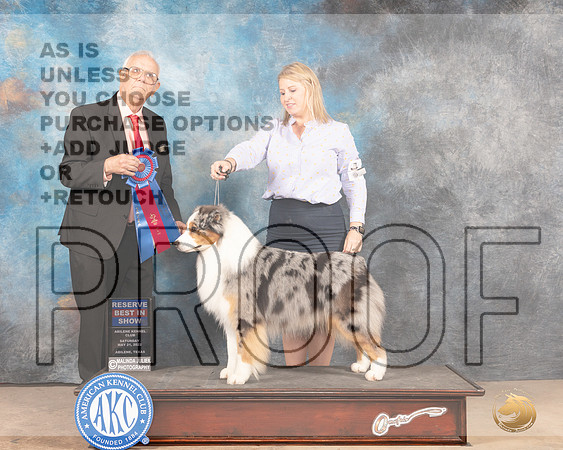 Australian Shepherd #27 Sat RBIS Judge Thomason Stanfield-MMJ_4309-Abilene2022-HR3