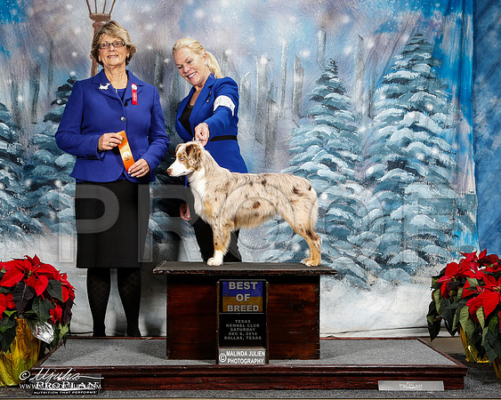 _ST_8711-2-DallasDec2014-HR3