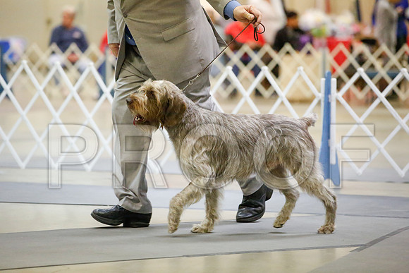 _JJ_7056-AmarilloSept2014-HR3