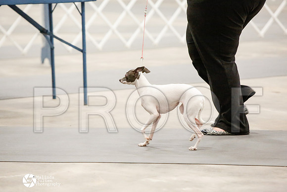 _CK_6065-AblnMay2014-web
