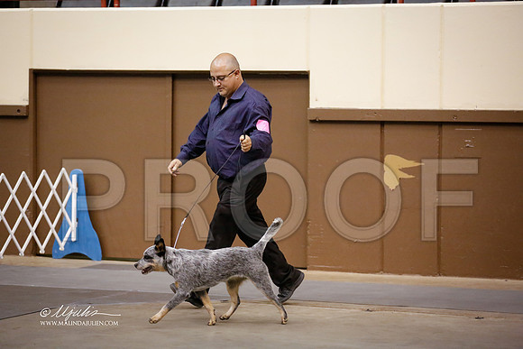 ACD-2235-SANov13-HR