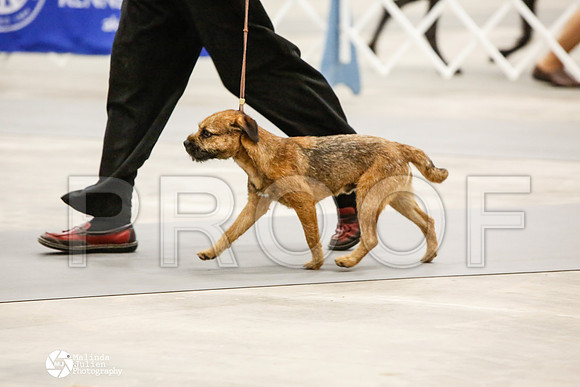 _CK_6549-AblnMay2014-web