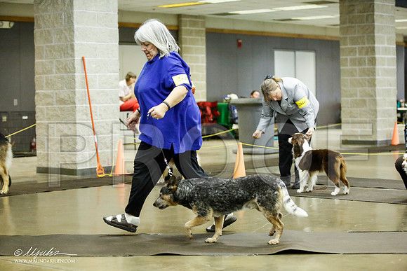 _JJ_7044-BeltonJan2015IABCA-HR3