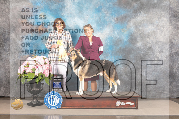 Collie Smooth #5 Sat G3 Judge Carrie Chase_MJ_7065_Houston_2022_HR3
