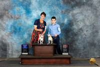 French Bulldogs #9 #12 WB BOS BOS Judge David Bolus