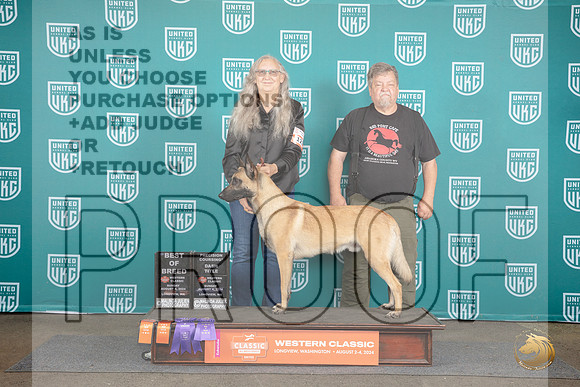Beligian Shepherd Dog Malinois #123 BOB NT No Judge __JP_1680_Longview WA_2024_HR3