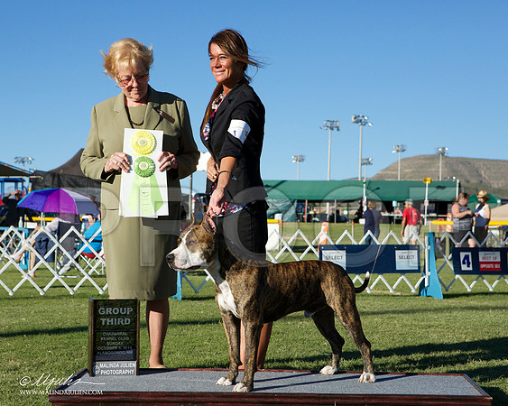 _ST_3509-AlamogordoOct2014-HR3