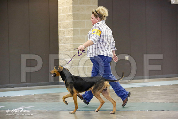 _JN_2638-BeltonJan2015-HR3