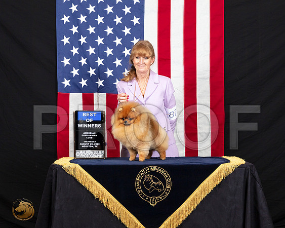 Pomeranian #69 Thurs BOW Judge Kelly Reimschiissel_SR_5803_HR