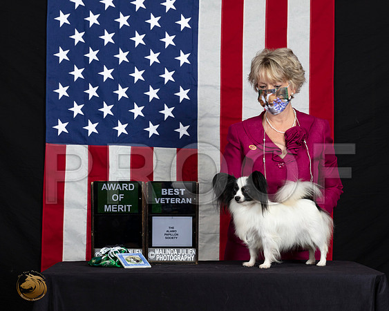 Papillon #42 Fri S1 BV AOM Judge Gary Andersen_SR_5982_HR