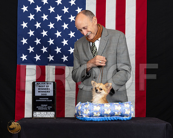 Chihuahua Long Coat #15 Fri S2 BOWMaj Judge Gary Andersen_SR_6251_HR