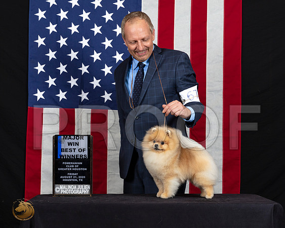 Pomeranian #67 Fri S2 BOWMaj Judge Doris Cozart_SR_6236_HR