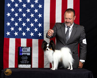 Papillon #7 Sat WDMaj Judge Dr Clyde Shaw