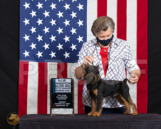 Brussels Griffon #9 Sun WDBOW Judge Dr Clyde Shaw_SR_6685_HR