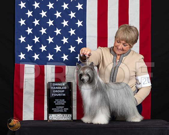 Chinese Crested #20 Sun OHG4 Judge Erika Moureau_SR_6821_HR