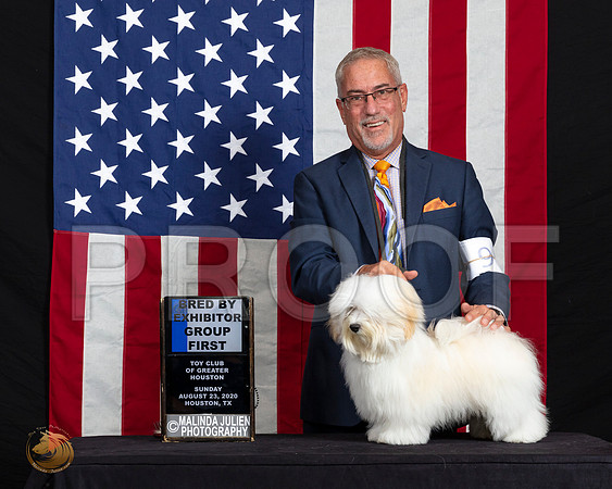 Havanese #20 Sun BBEG1 Judge Helen Tomb Taylor_SR_6835_HR