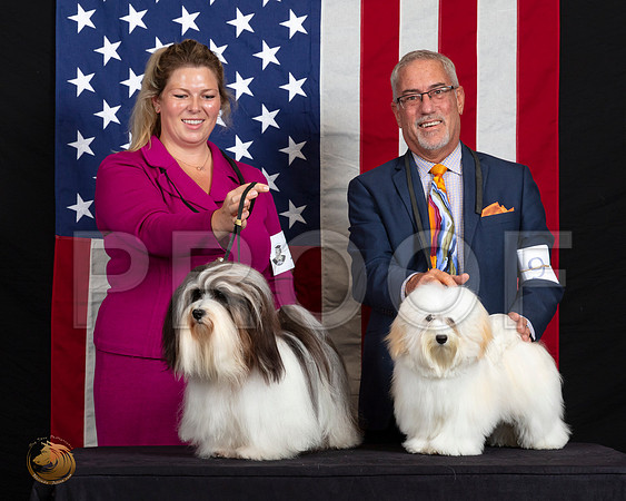 Havanese #20 Sun Family_SR_6838_HR