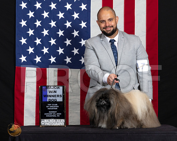 Pekingese #17 Sun WDMaj Judge Dr Clyde Shaw_SR_6842_HR