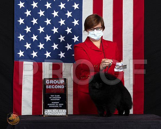 Pomeranian #31 Sun G2 Judge Dr Clyde Shaw_SR_6831_HR