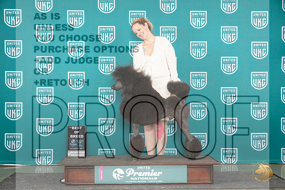 Poodle Std #307 Tues Top10BOB Judge Lori Sargent__JP_3299_Premier_2024_HR3